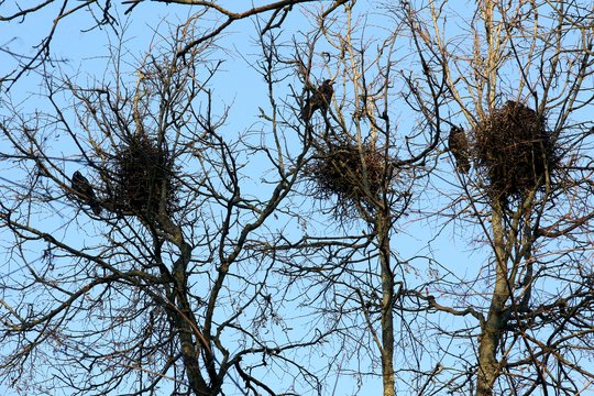 Nedarykite to patys – galite sulaukti solidžios baudos