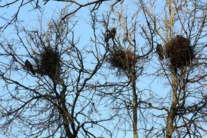 Nedarykite to patys – galite sulaukti solidžios baudos