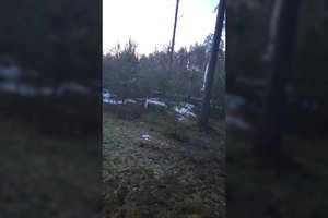 Pasieniečiai sulaikė dar 6 žmones, siejamus su oro balionais gabenama kontrabanda