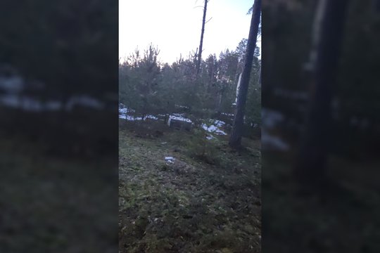 Pasieniečiai sulaikė dar 6 žmones, siejamus su oro balionais gabenama kontrabanda