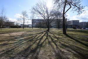 Žinia gyventojams: norint atlikti šį darbą reikia leidimo – kitaip gresia bauda