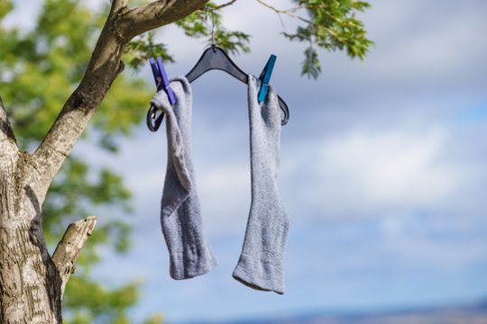 Nebenaudojamos kojinės pravers sode ir darže: neišmeskite