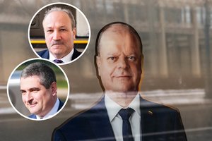 Nenorėjo, bet tapo akmeniu po kaklu? Po naujausių reitingų – S. Skvernelio vedamų demokratų merų reakcija