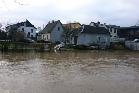 Pirma taupo, po to skęsta: pagailėjus pinigų vienam tyrimui – liūdnos pasekmės