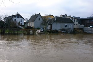 Pirma taupo, po to skęsta: pagailėjus pinigų vienam tyrimui – liūdnos pasekmės