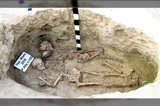 Senoviniame Ukrainoje rastame kape – nuodingos cheminės medžiagos