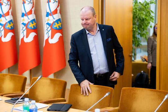 Apklausa: rinkėjų bausmė S. Skverneliui ir gera žinia I. Ruginienei