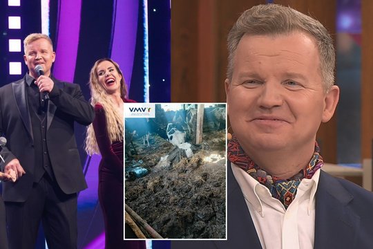 Po skandalo dėl gaišenų ūkyje prabilo žinomas ūkio savininkas M. Diliautas: jo žodžiai stebina