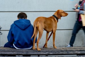 Kasdien po rekordą: Lietuvoje jau trečią dieną iš eilės užfiksuota neįprastai aukšta temperatūra