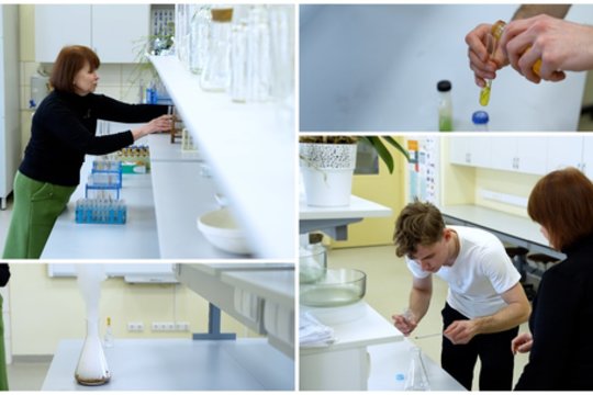 Vaikus įtraukianti chemijos mokytoja dalijasi unikalia klasės padėka: „Su manimi ji gyveno 16 metų“