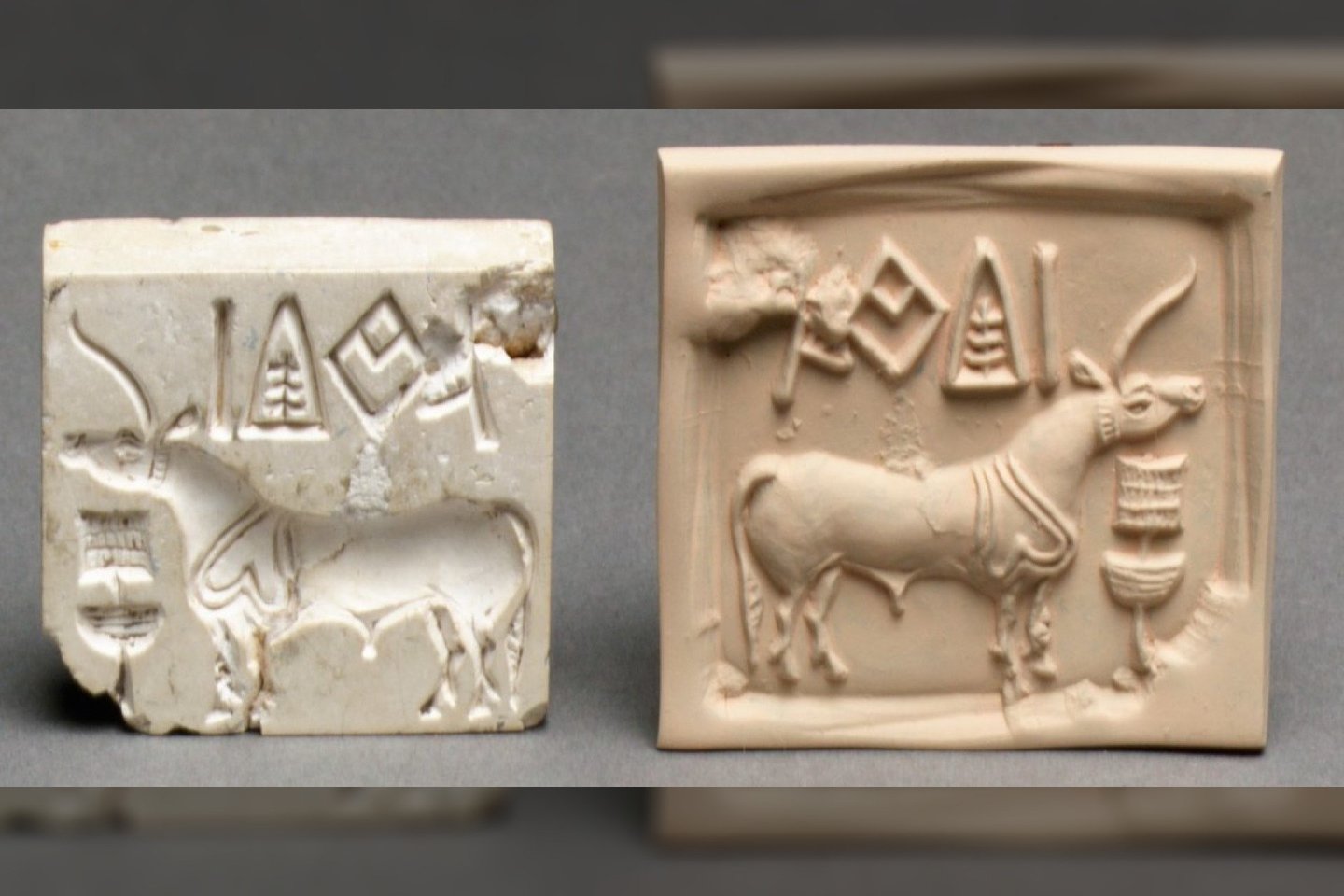 Ženklai, kartais vadinami Harapos (nors dažniau – Indo slėnio) raštu, yra įvairūs.<br> Wikimedia commons.