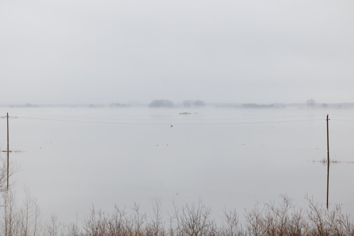 Potvynis Šilutės rajone.<br> T. Bauro nuotr.