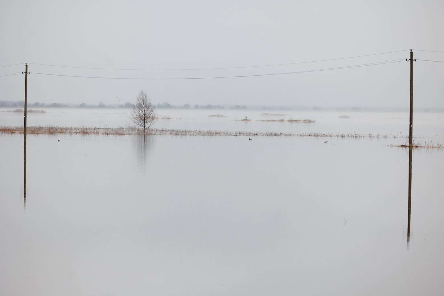 Potvynis Šilutės rajone.<br> T. Bauro nuotr.