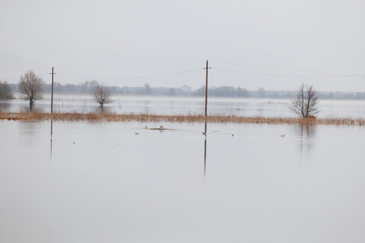 Potvynis Šilutės rajone.<br> T. Bauro nuotr.