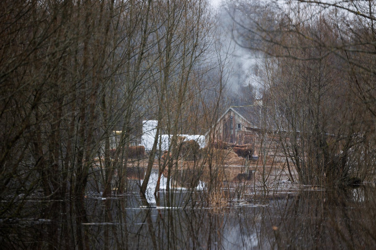 Potvynis Šilutės rajone.<br> T. Bauro nuotr.