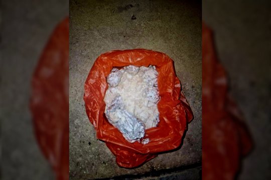 Alytaus policija sulaikė du prekyba narkotikais įtariamus vyrus