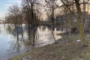 Dėl Kėdainių kraštą neraminusio Nevėžio – naujausios žinios