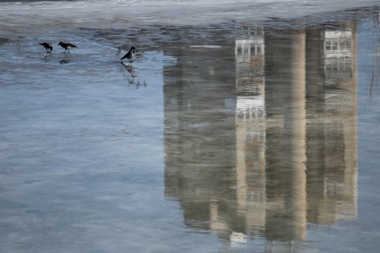 Artimiausios dienos nusimato vėsesnės: gali palyti, perspėja dėl plikledžio