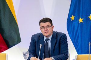 V. Sinica apie neapykantos kalbos dekriminalizavimo iniciatyvą: registruota vienareikšmiškai ne dėl R. Žemaitaičio