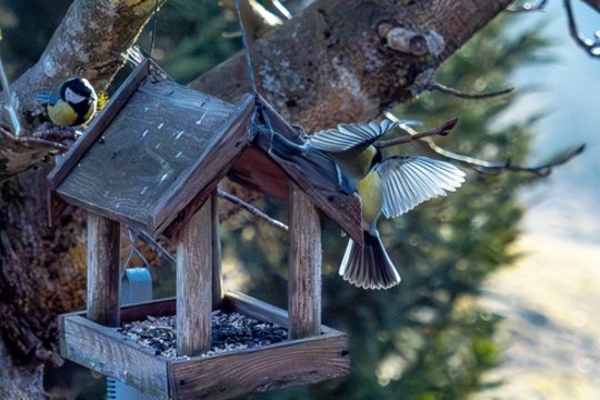 „Žinovų klubo“ testas. Ką žinote apie Lietuvos gyvenvietes iš G ir I raidžių?