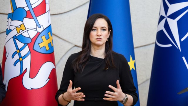 Kainos kanda – ar I. Ruginienė supranta padėties rimtumą?