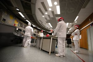 IAE lankėsi EP atstovai: susipažino su eksploatavimo nutraukimo pažanga