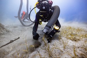 Garsiojo laivo nuolaužose aptikta dar viena dingusi Akropolio dalelė