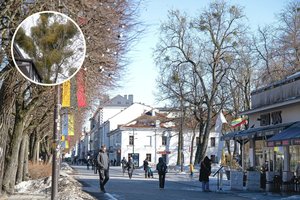 Kaunas gali prarasti tai, kuo didžiuojasi – pokyčiai jau rėžia akis