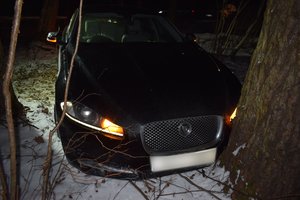 Policija ieško Alytuje į medį įsirėžusio „Jaguar“ savininko