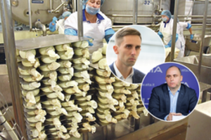 Ekonomistai: ketinimas reguliuoti pieno rinką gali baigtis liūdnai – nukentės ūkininkai