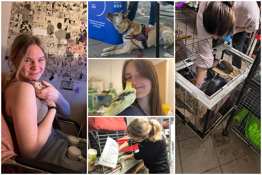 Vienintelė tokia gyvūnų prieglauda visoje Lietuvoje kviečia kartu kurti tikrus namus