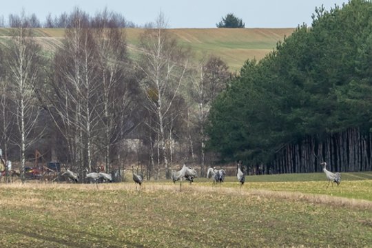 Savaitgalį – sinoptikų perspėjimas dėl temperatūrų kontrasto: kitą savaitę laukia pokyčiai