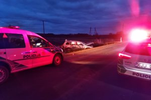 Girtas kelių erelis Vilniaus rajone sukėlė masinę avariją