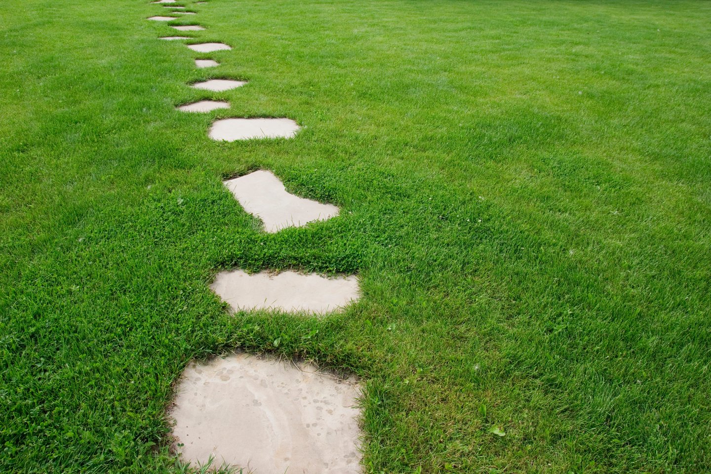 Sodo veja kasdien patiria didelę apkrovą: ant jos žaidžia vaikai, stovi baldai, be to, dar yra lietus, sausra ir temperatūros svyravimai.<br> 123rf nuotr.