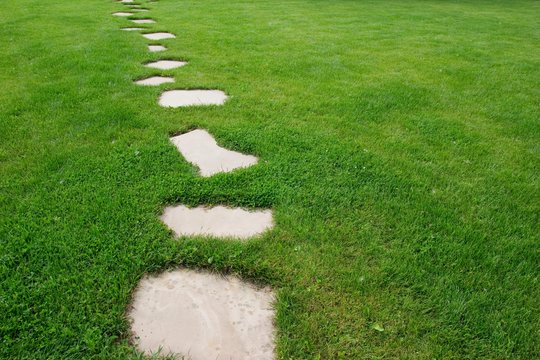 Po žiemos veja atrodo prastai? Padėti gali šis paprastas triukas