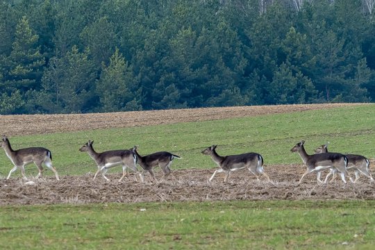Artimiausių dienų orai: kritulių nenumatoma, bet vietomis teks saugotis rūko ir plikledžio