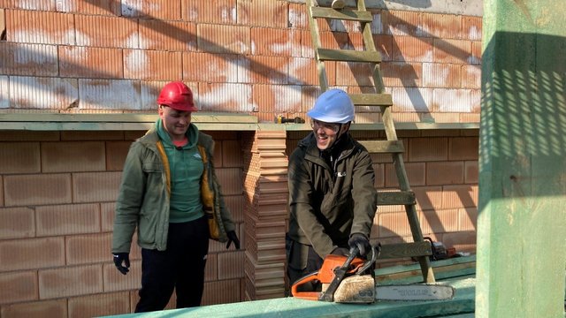 „Viskas pamatuota“. Ar tikrai egzistuoja užuolaidos, atsparios katinų draskymui? 