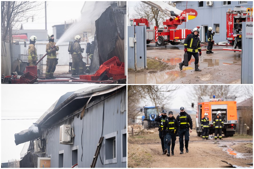  Gaisras Kauno rajone.<br> Lrytas koliažas