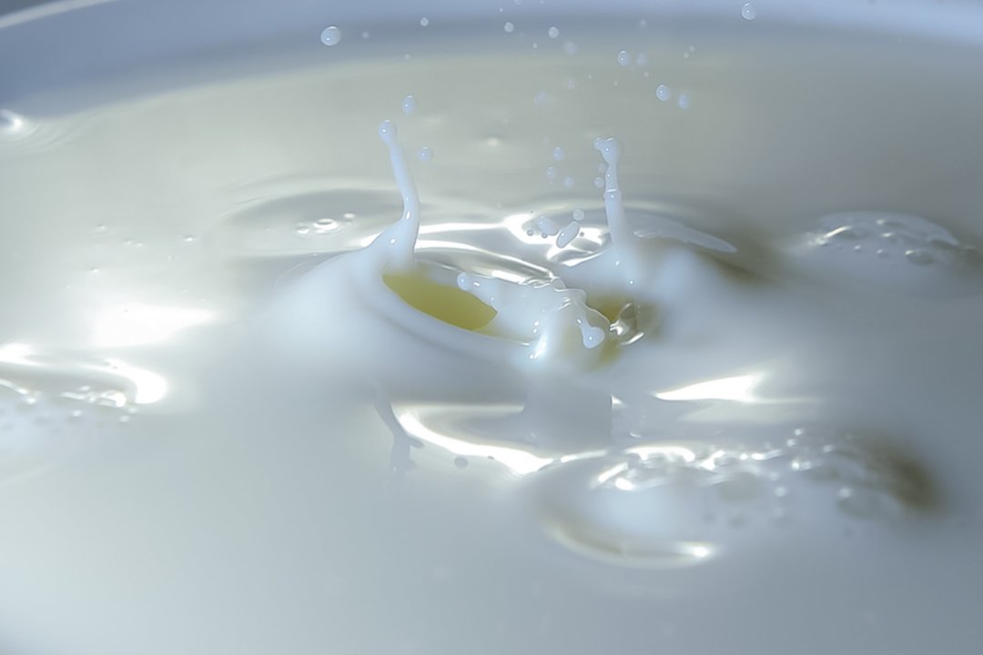 Po nuoseklaus kritimo žaliavinio pieno kainos Europoje vasarį stabilizavosi