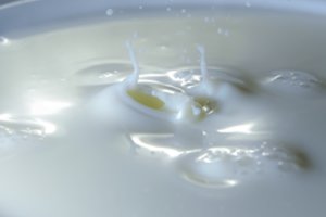 Po nuoseklaus kritimo žaliavinio pieno kainos Europoje vasarį stabilizavosi