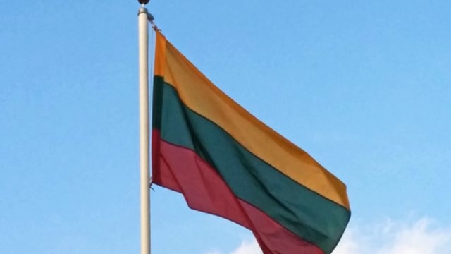 Ruošiamasi Lietuvos metams Vokietijoje: skirta įspūdinga suma