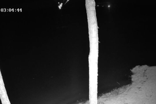 Užfiksuota: Varėnos r. galimai nukrito dronas, aktyvuotas planas „Skydas“