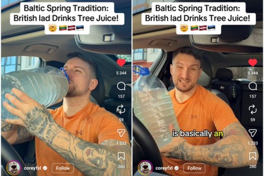 Užsienietis pirmąkart paragavo lietuviškos beržų sulos: pasakė tiesiai šviesiai