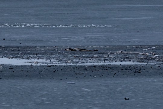 Naujausia informacija apie Varėnos rajone nukritusį droną