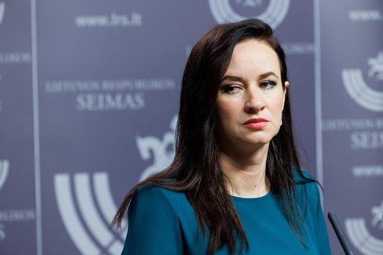 I. Ruginienei dėl užsienio politikos – aštrus kirtis: noro daug, bet su kompetencija striuka