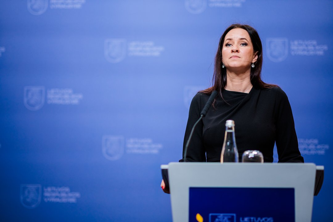 I. Ruginienė patvirtino: Varėnos rajone nukritęs dronas – ukrainiečių, ragina susilaikyti nuo spekuliacijų