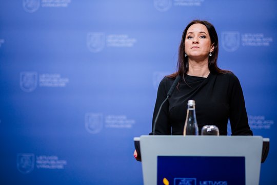 I. Ruginienė patvirtino: Varėnos rajone nukritęs dronas – ukrainiečių, ragina susilaikyti nuo spekuliacijų