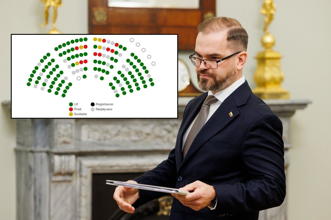 Be didesnių problemų: Kapčiamiesčio poligono projektui Seime – žalia šviesa