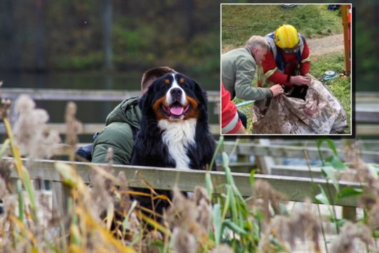 Šuo įkrito į 12 m gylio šulinį: gelbėjimo operacija truko 3 val.