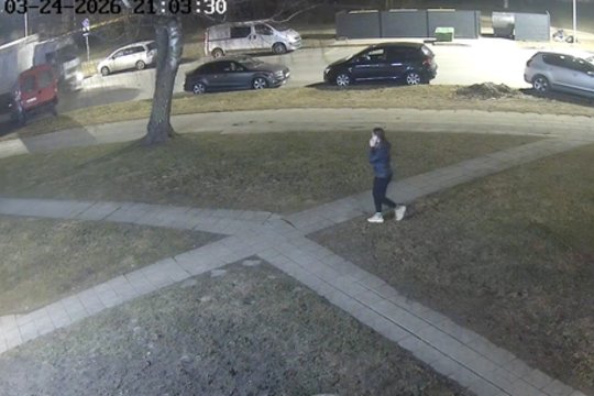 Panevėžyje užfiksavo girto vilkiko vairuotojo pasivažinėjimą: apgadino dešimtis automobilių